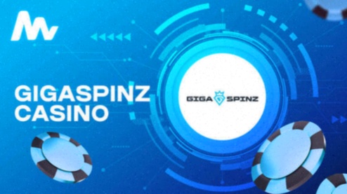 Crypto Casinos NL spellen