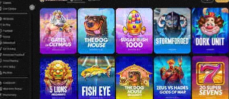 Casino Play N Go App Online
