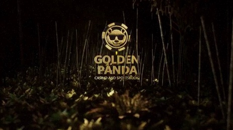 Wsmcasino NL betaalmethoden